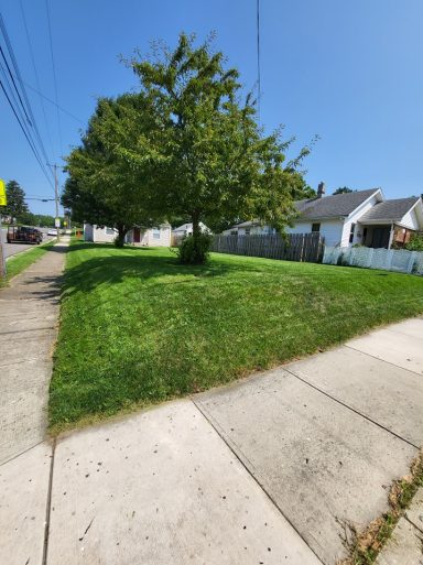 Grass Mowing Services in Springfield, OH | Lawnzilla Lawn Care
