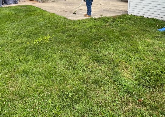 Yard Trimming Services in Springfield, OH | Lawnzilla Lawn Care