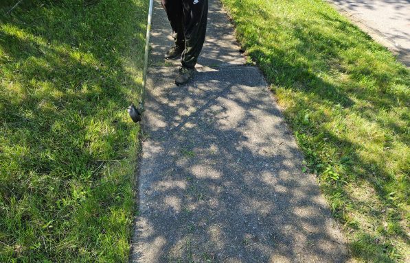 Yard Edging Services in Springfield, OH | Lawnzilla Lawn Care
