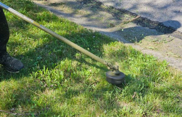 Weed Removal & Trimming Services in Springfield, OH | Lawnzilla Lawn Care