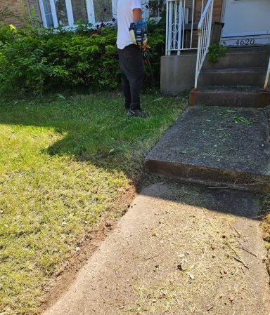 Garden Bed Trimming Services in Springfield, OH | Lawnzilla Lawn Care