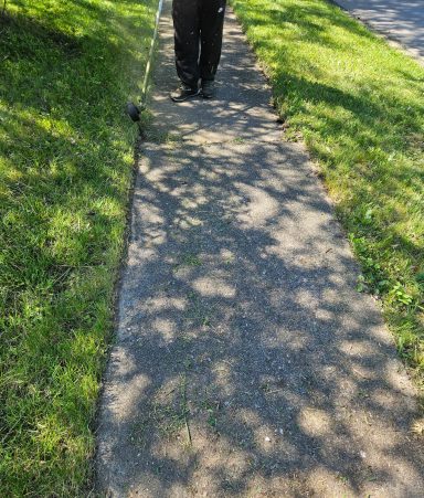 Edging Services in Springfield, OH | Lawnzilla Lawn Care