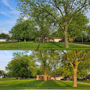 Mowing Services Before & After in Springfield, OH | Lawnzilla Lawn Care