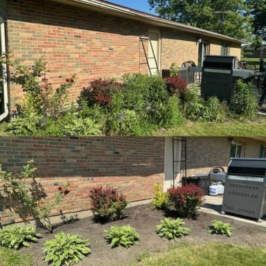 Garden Bed Trimming Services in Springfield, OH Before & After | Lawnzilla Lawn Care