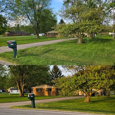 Yard Edging Services in Springfield, OH Before & After | Lawnzilla Lawn Care